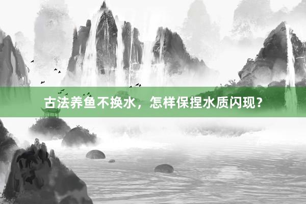 古法养鱼不换水，怎样保捏水质闪现？