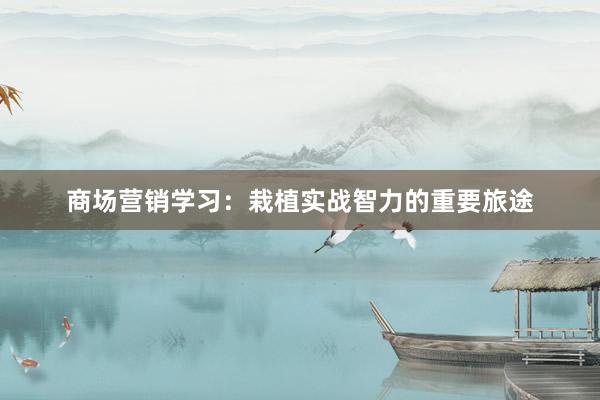 商场营销学习：栽植实战智力的重要旅途